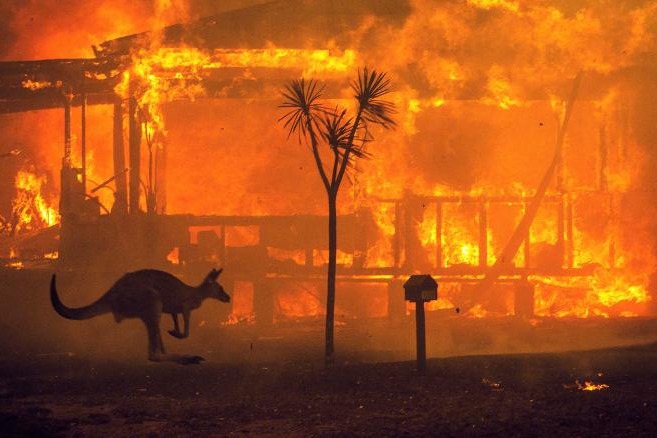 Kalimat Opini Tentang Kebakaran Hutan : Contoh Opini Tentang Kebakaran Hutan Kami / Lahan gambut ini memiliki karakteristik berbeda dengan lahan hutan pada umumnya.